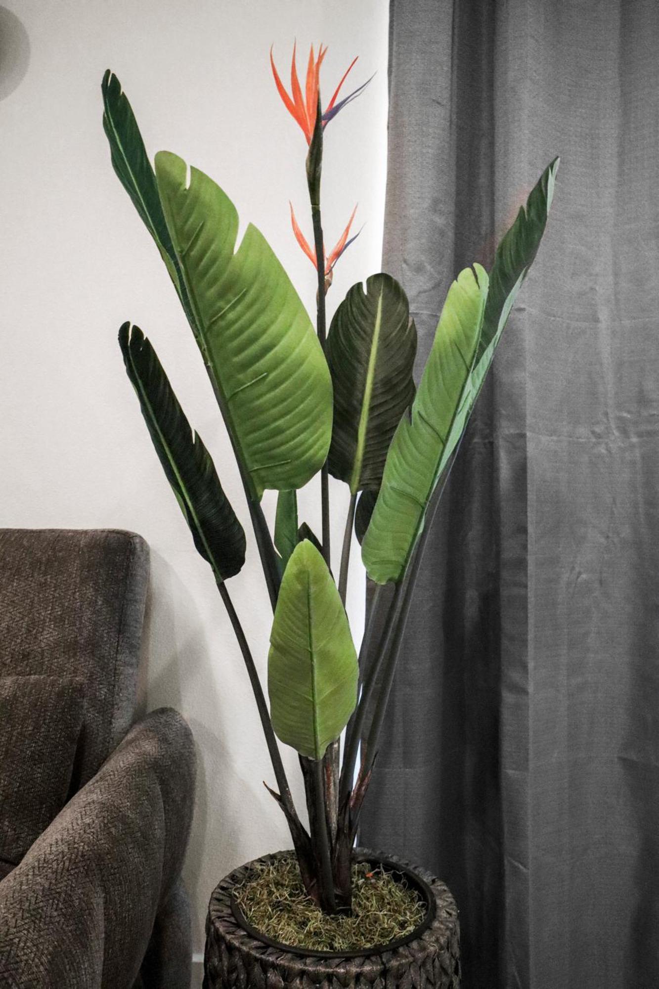 Apartment Near Deep Ellum Dallas Ngoại thất bức ảnh